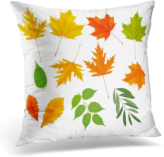 Amazon Com Emvency Throw Pillow Covers Green Leaf Of Colorful