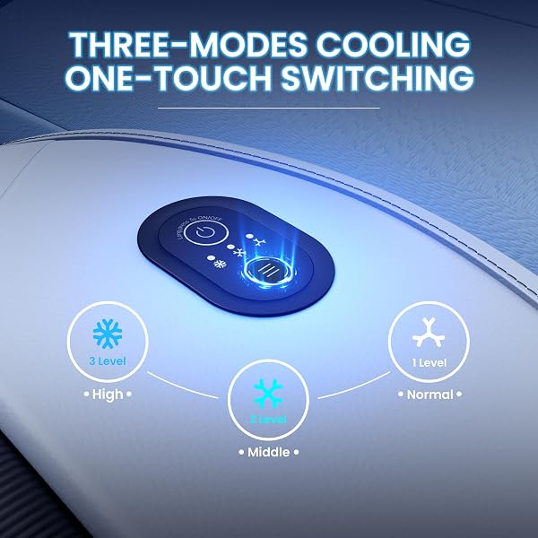 TOWTAMER COOLING CAR SEAT COVER FRONT SEAT,12V-24V SEMICONDUCTOR VENTILATED CAR SEAT COOLING PAD WITH 3 TEMP MODES,SEAT COOLERS UNIVERSAL FIT FOR SUV/TRUCK (COOL GREY)