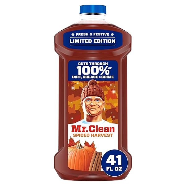 MR. CLEAN ALL PURPOSE CLEANER, CLEANING LIQUID, SPICED...