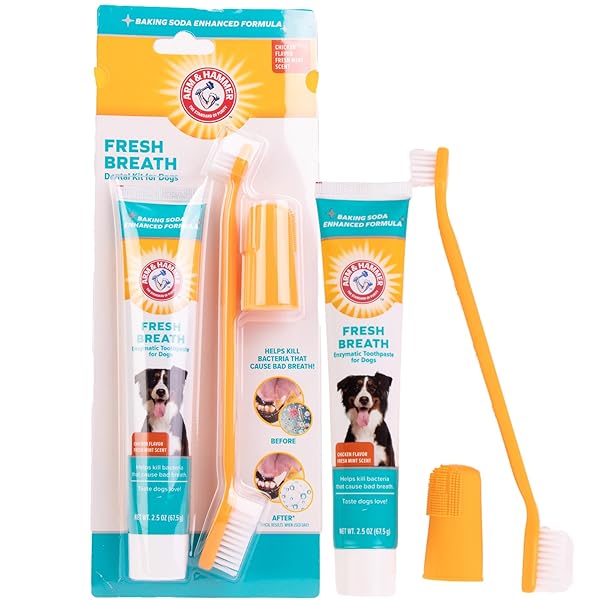 ARM & HAMMER FOR PETS FRESH BREATH ENZYMATIC DOG DENTAL CARE KIT – INCLUDES DOG TOOTHPASTE, DUAL SIDED TOOTHBRUSH AND FINGERBRUSH – BAD BREATH TREATMENT, CHICKEN FLAVOR, 2.5 OUNCE