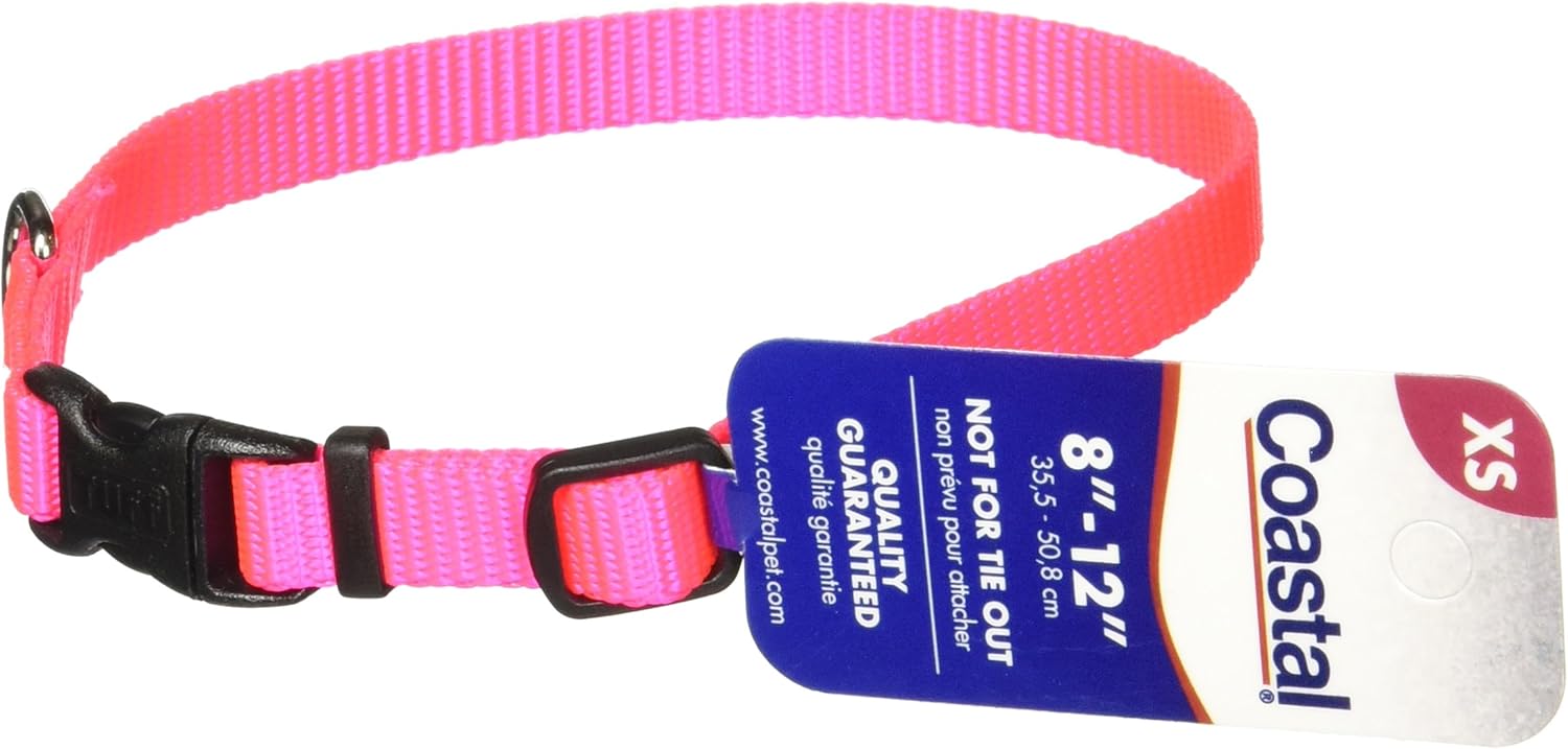 x small puppy collar