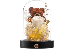 Polylove Forever Flowers Gifts for Women Preserved Roses Bear with Mood Light Gifts for Girlfriend Wife Mother Valentines Day Mothers Day Christmas Birthday (White Rose, White Hydrangea)