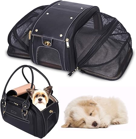 amazon dog travel bag