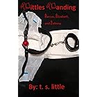 Littles Landing: Marcus, Elizabeth & Johnny