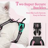 rabbitgoo Dog Harness Small No Pull Adjustable Reflective Pink XS view 4