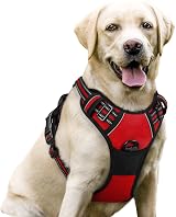 rabbitgoo Dog Harness Large No Pull Reflective Adjustable Soft Padding Red L