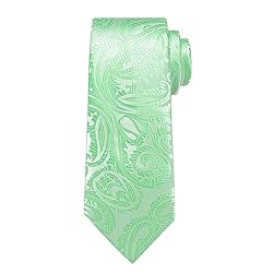 DiBanGu Silk Paisley Ties for Men Woven Necktie and