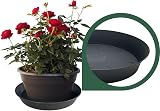 Growcery Plant Pot Saucers 40 cm Heavy Duty Drip Tray 1 Pack view 4