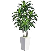 6FT Artificial Dracaena Tree, Fake Tree Indoor with White Tall Planter,Tall Artificial Plants Indoor,Artificial Silk Tree for Home Office Decor (White)