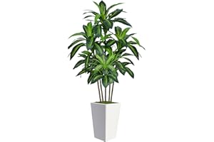 FLYDEER 6FT Artificial Dracaena Tree, Fake Tree Indoor with White Tall Planter,Tall Artificial Plants Indoor,Artificial Silk Tree for Home Office Decor,Housewarming Gift (White)