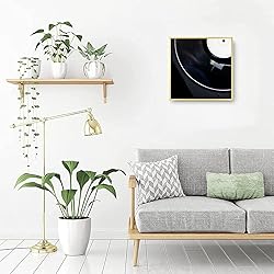 Golden State Art, Aluminum Album Frames Display