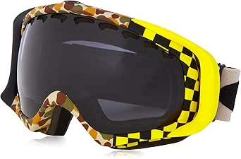 alpine ski goggles review