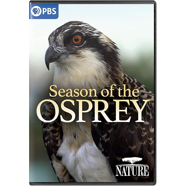その他 Nature: Extraordinary Animal Behavior [DVD] Amazon.com: Nature: Extraordinary Animal Behavior : Movies & TV