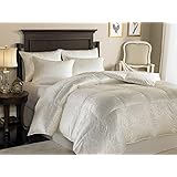 Downright 434 Thread Count 53 oz Eliasa Silk Comforter, 90" x 94"