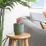 T4U Mini Self Watering Plant Pots Indoor 6 Pack 10cm Green Plastic Pots view 8