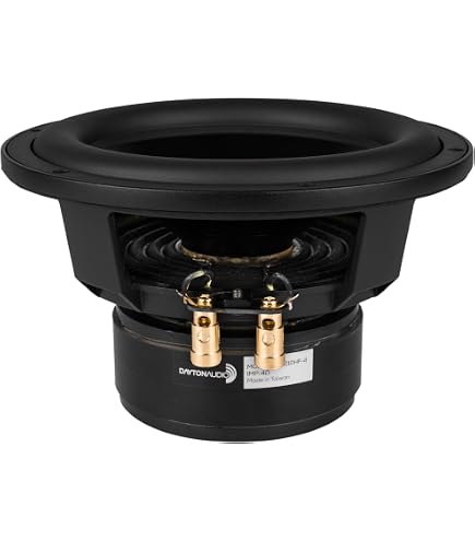 Amazon.com: Dayton Audio LS10-44 10