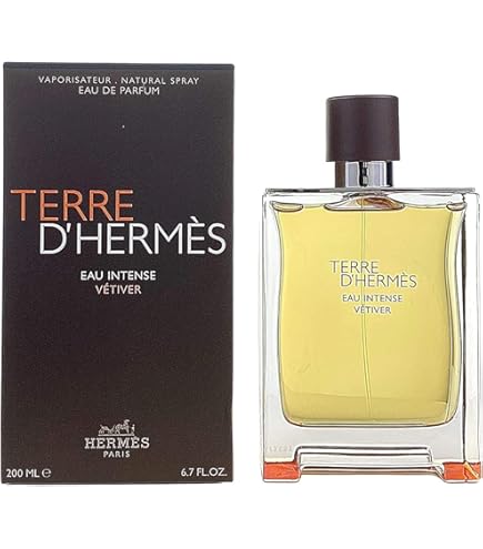Amazon.com : Terre D'Hermes Eau de Intense Vetiver by Hermes for