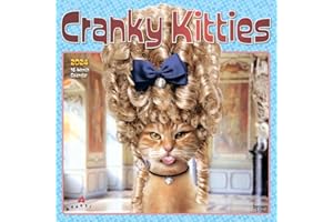 Avanti Cranky Kitties | 2024 12 x 24 Inch Monthly Square Wall Calendar | Foil Stamped Cover | BrownTrout | Angry Cat Humor Feline