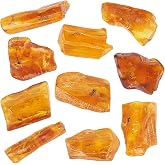 ELEGAMBER Baltic Amber Natural Fossil Insects,Insects from Millions of Years ago,True Insect Samples-Science Classroom Science Education Animal Specimens (A Amber with Insects Fossils)