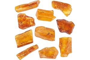 ELEGAMBER Baltic Amber Natural Fossil Insects,Insects from Millions of Years ago,True Insect Samples-Science Classroom Science Education Animal Specimens