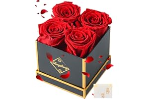 Changshunqi Forever Flowers, Preserved Roses in a Box, Eternal Rose Flowers for Delivery, Forever Preserved Roses Gifts for Her Women Wife Christmas Birthday Mothers Flower for Mom Womens Girlfriend
