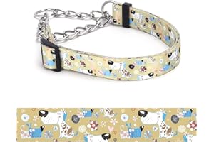 haoyueer Martingale Dog Collar - Stainless Steel Chain, No Pull Training Collar with Flower Design for Large Medium Small Dogs (14, S)