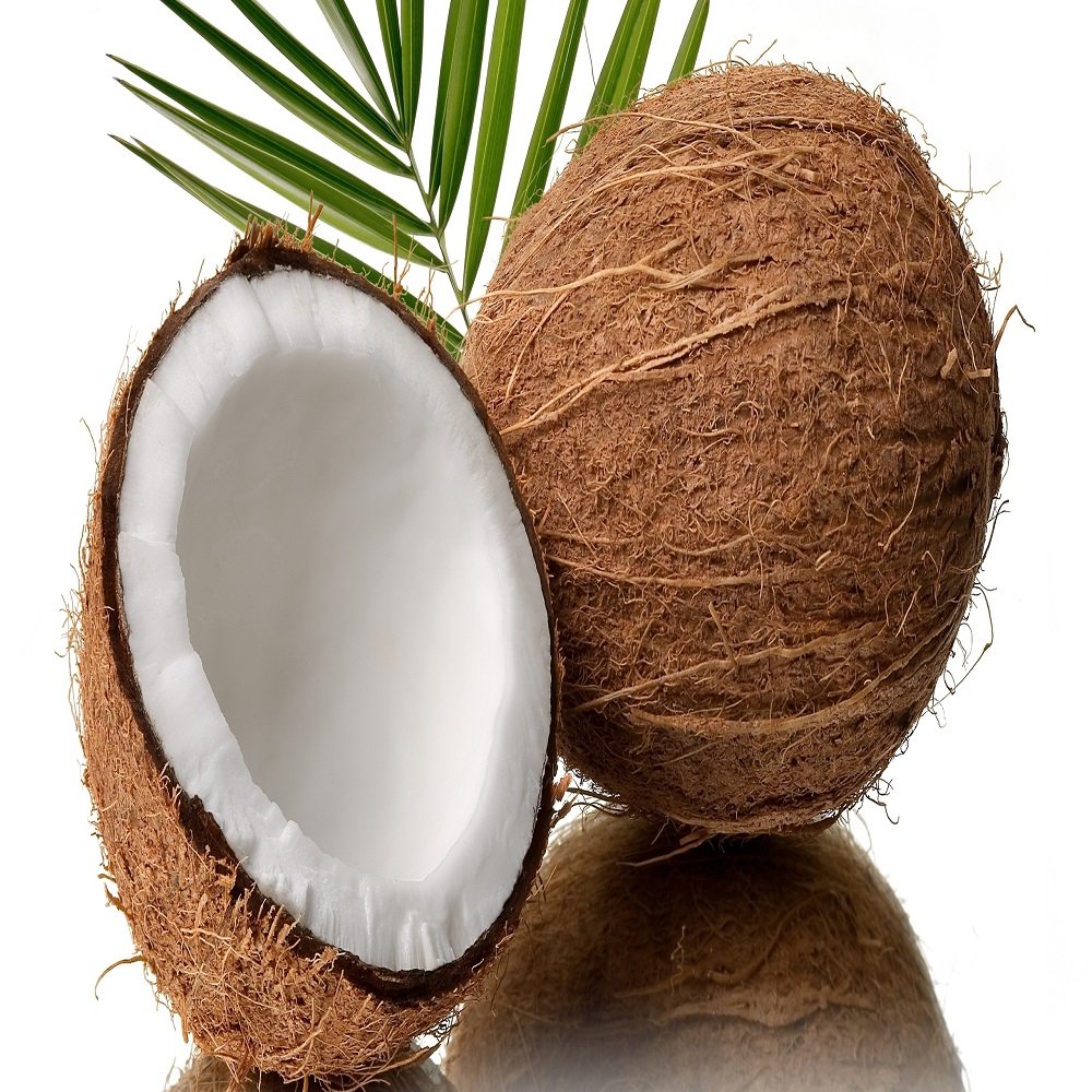 The 8 Best Coconut Fragrance Oil 8 Ounce