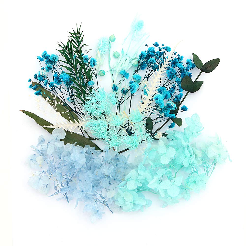 Shiwaki Artificial Flowers Simulation Flowers Preserved Dried Flower Plant DIY Candle Resin Jewellery Making Crafts Decor Shower Decorations for Home – Blue Mood