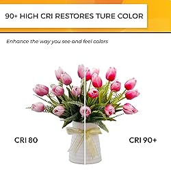 Hizashi Candelabra LED Light Bulbs, E12 LED Bulb