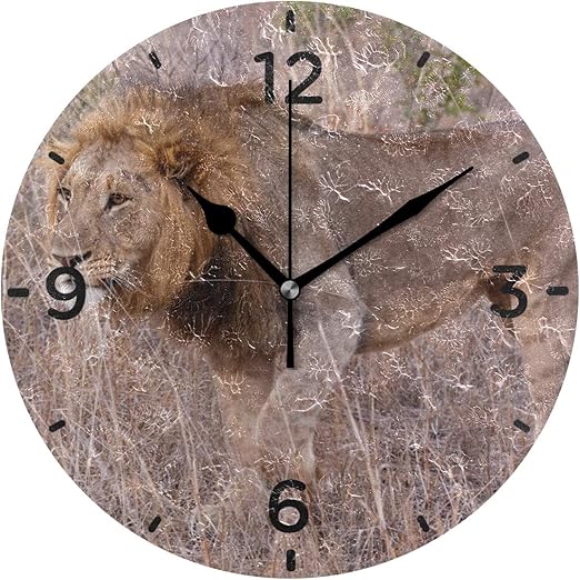 Amazon Com Senwei Lion South Africa Animal Wall Clock Acrylic