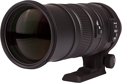Amazon Co Jp Sigma 超望遠ズームレンズ Apo 150 500mm F5 6 3 Dg Os Hsm キヤノン用 フルサイズ対応 家電 カメラ
