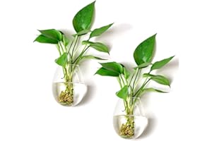 Outgeek Wall Hanging Fish Bowl Wall Fish Bubble Vase Flower Plant Pot Aquarium (2 Pcs 5.11 in)