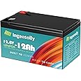 Ingeosolly 12V 12Ah LiFePO4 Lithium Battery with Smart BMS, 10 Year Lifespan,10000+ Deep Cycles Lifepo4 Battery for Marine, Ride on Toy, Trolling Motor Fish Finder, Kayak, Power Wheels