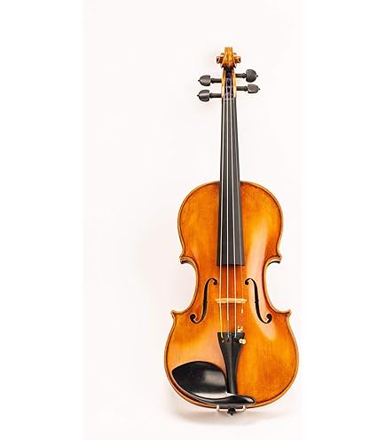 Amazon.com: D Z Strad Violin - Model 505F - Hellier Stradivarius