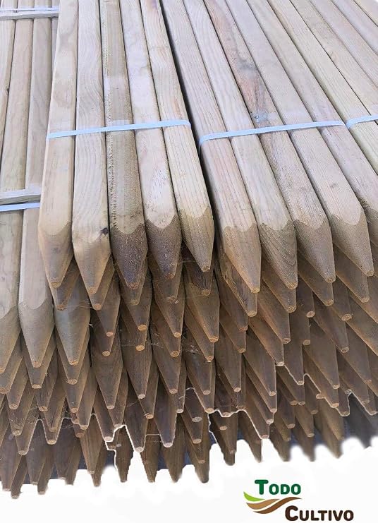 Todo Cultivo Tutor de Madera de Pino tratado de 40x40 mm. 1, 5 m ...