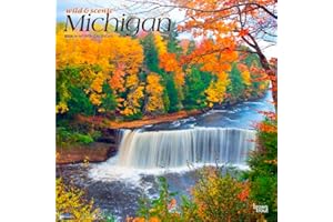 Michigan Wild & Scenic | 2026 12 x 24 Inch (Hanging) Monthly Square Wall Calendar | Plastic-Free | BrownTrout | USA United States of America Midwest State