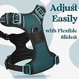 rabbitgoo Dog Harness Large No Pull Front Back Leash Clips Reflective Dark Green view 6