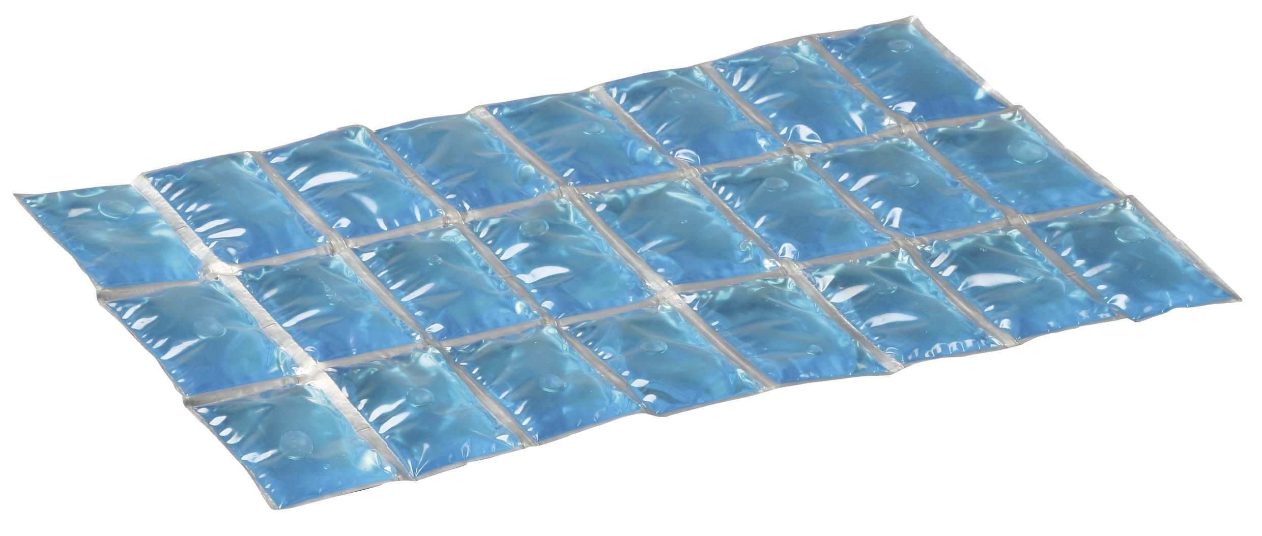 Campingaz Flexi Freez Pack L