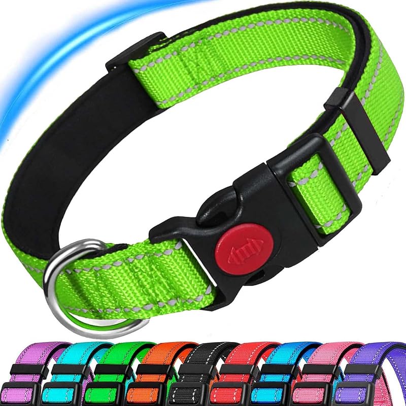 ATETEO Reflective Padded Dog Collar Medium 13-19.7 in Fluorescent Green