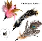 MAIYADUO Cat Toys Interactive Wand 6Pcs Feather Teasers 80cm for Indoor Cats view 5