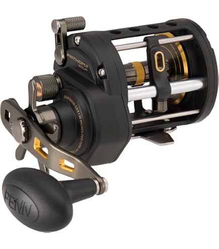 Amazon.com : Penn FTHII20LWLH Spinning Rod & Reel Combos, Black