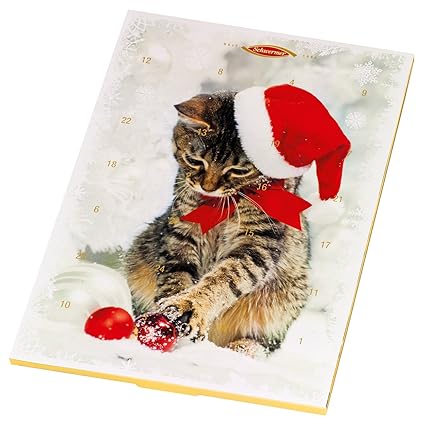 Schwermer Katzen Adventskalender 3er Pack 3 X 100 G