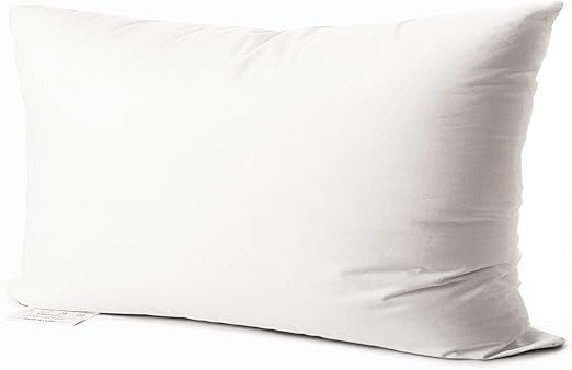 Amazon Com Edow Luxury Throw Pillow Insert Soft Fluffy Down