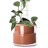 Phoenix Vine 6 Inch Self Watering Plants Pot, Design Terracotta Pot for Plants, Indoor Cylinder Terra Cotta Planter with Glass Vase, Set of 1, 51-A-F-1