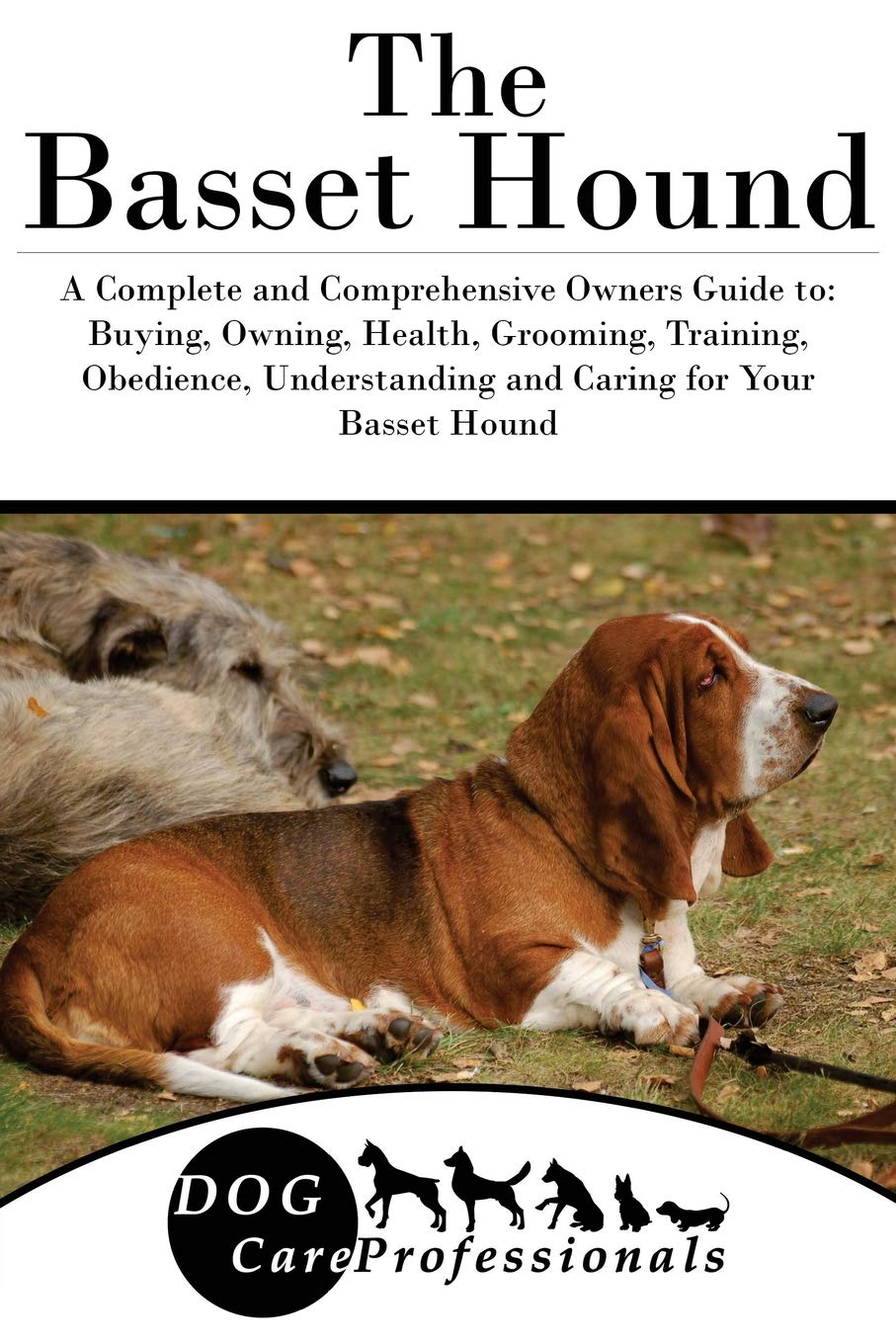 Basset Hound Grooming 2025