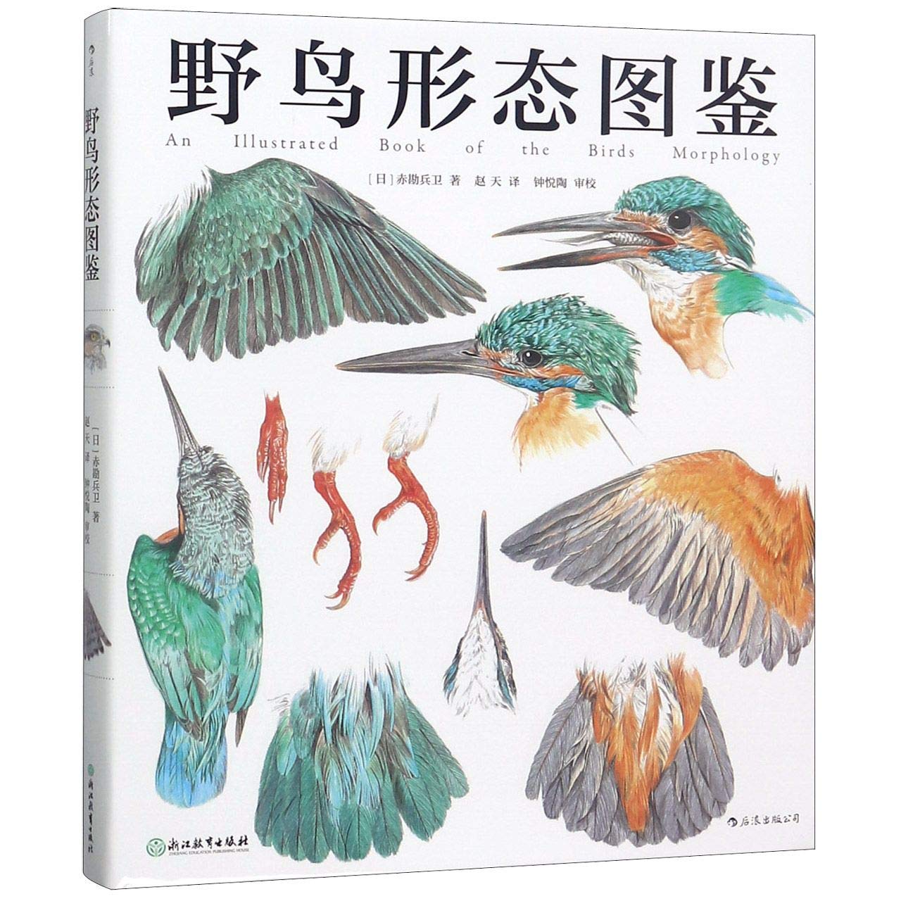 野鸟形态图鉴 精 日 赤勘兵卫 译者 赵天 后浪 Amazon Com Books