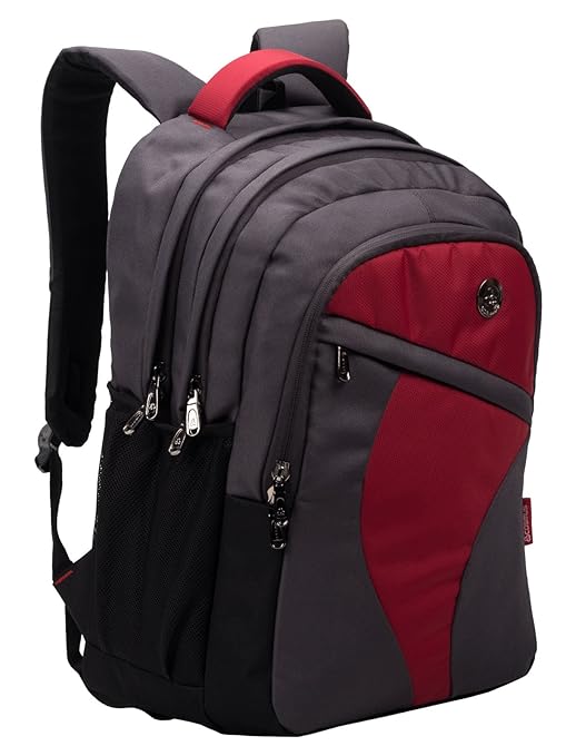 COSMUS Rugged School Bags with Laptop section for Class 6-9 - Cosmus Leeds Grey 33L Polyester waterproof Backpack Bag