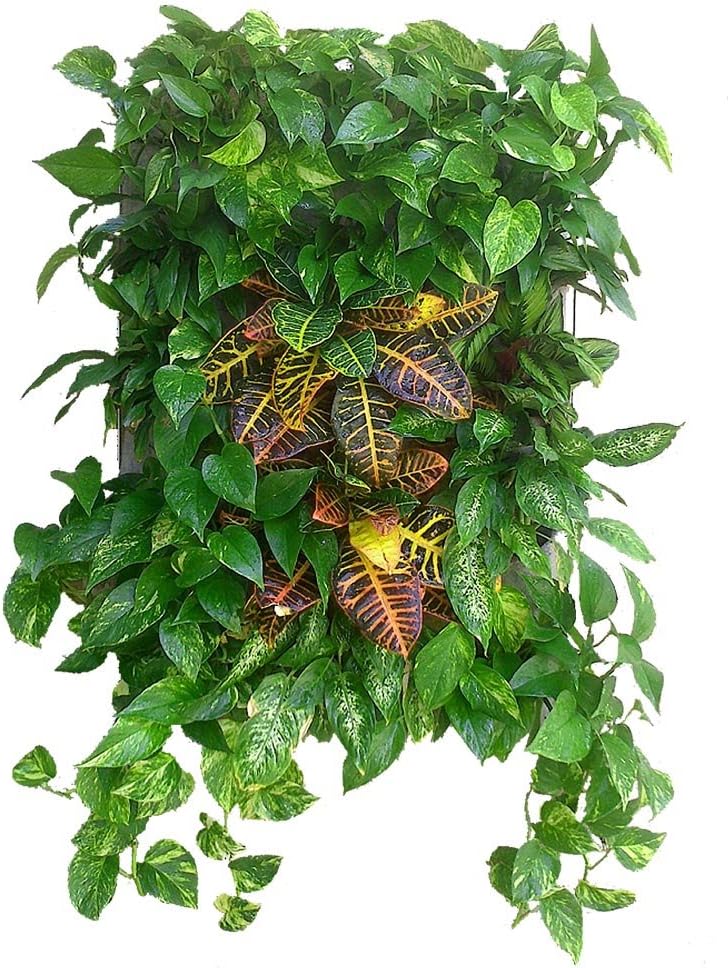 Vertiflor V15 Jardín Vertical para 15 Plantas, Negro, 100x71x4 cm ...