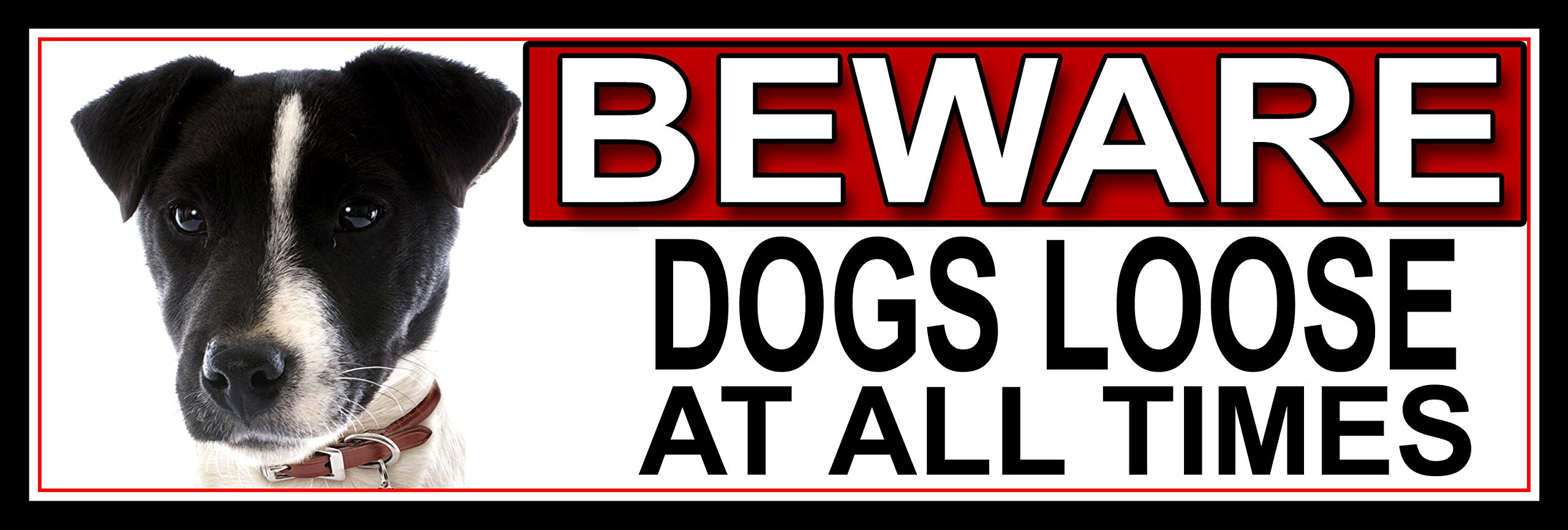 SHAWPRINT Jack Russell BEWARE DOGS LOOSE AT ALL TIMES METAL GATE SIGN 266mm x 87mm. (398H2)