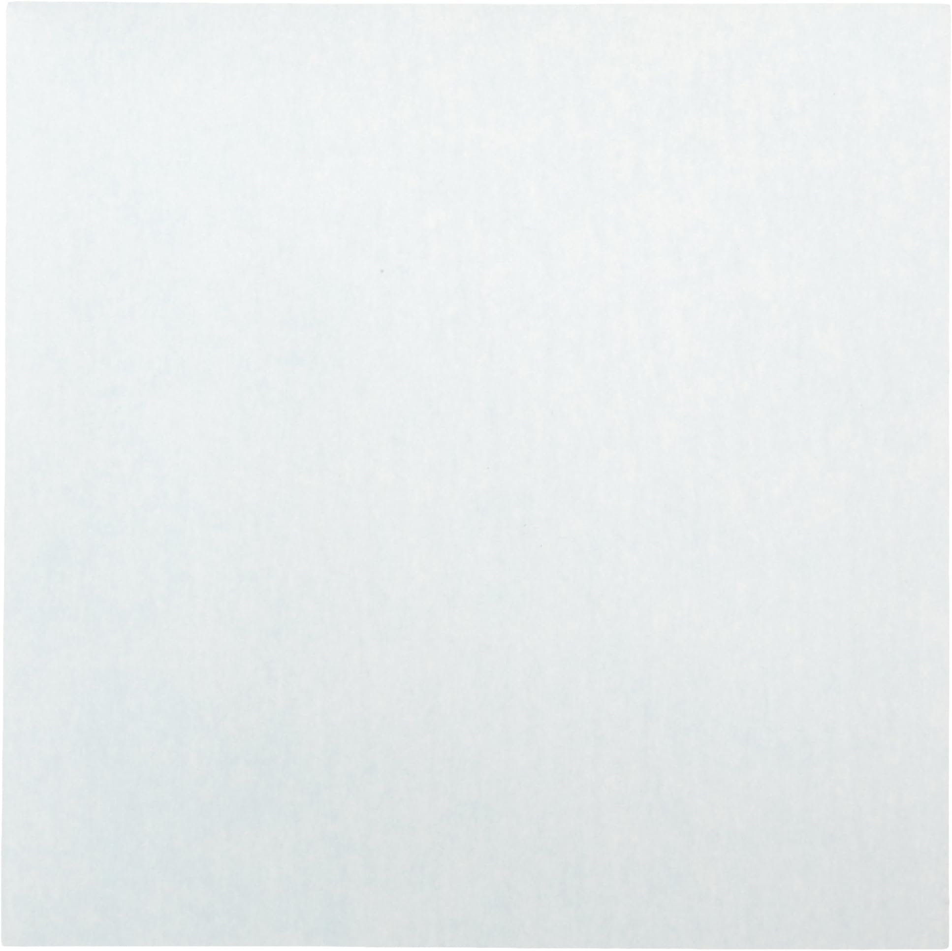 GVS Life Sciences 1212644 Polyvinylidene Fluoride Plus Transfer Membrane Sheet, 0.45 Micron Pore Size, 100mm Width, 100mm Length (Pack of 10)